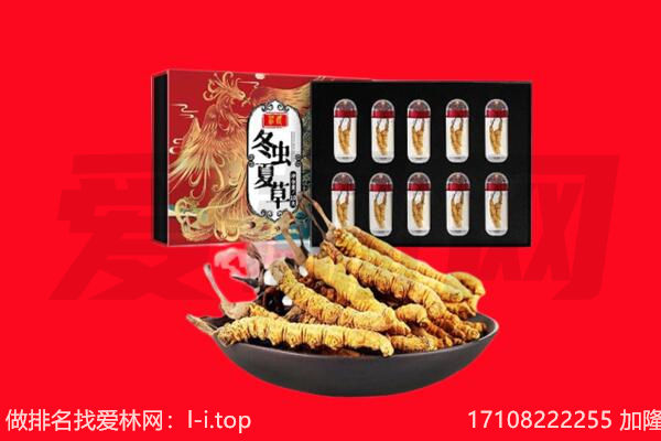 荆州市洪湖回收虫草.jpg